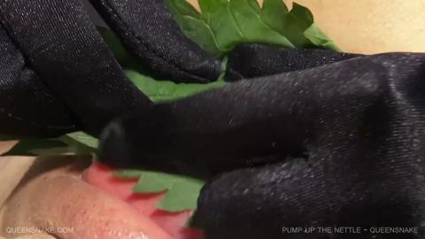 6308