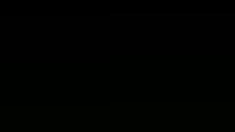 10021